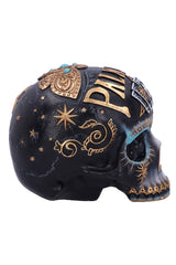 skull sculpture for shelf