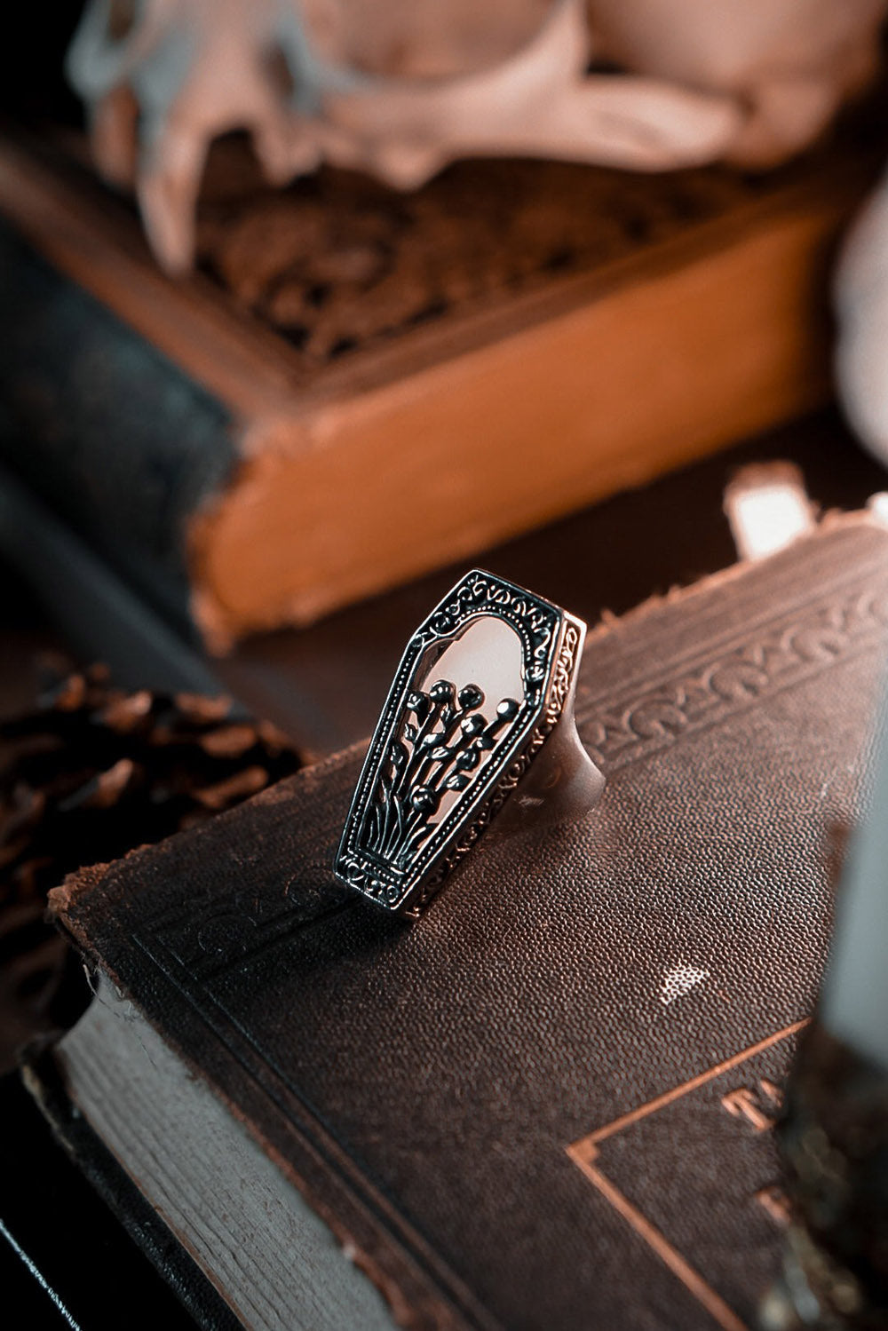 stainless steel coffin ring