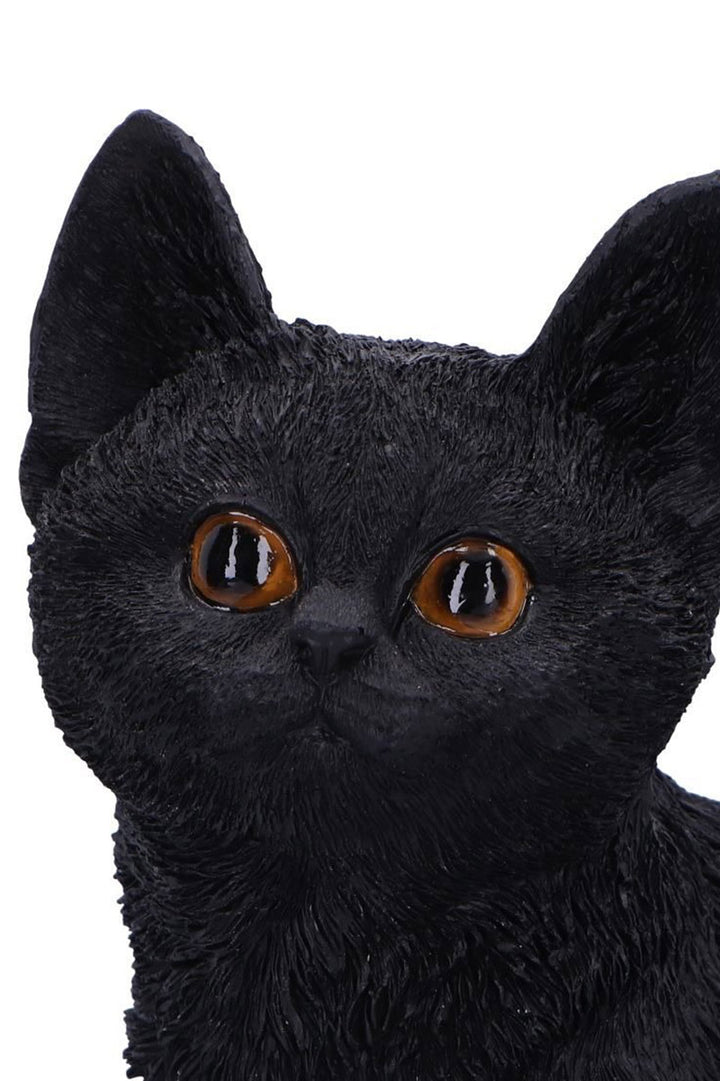 witch black cat figurine by nemesis now