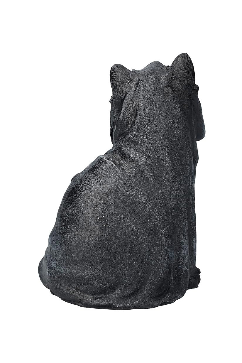 black cat home decor