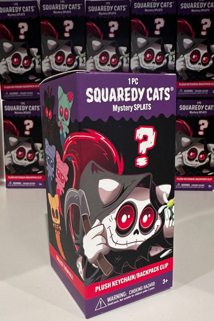mystery box for cat keychain