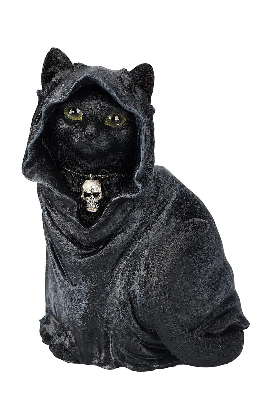 Black Cloak Cat