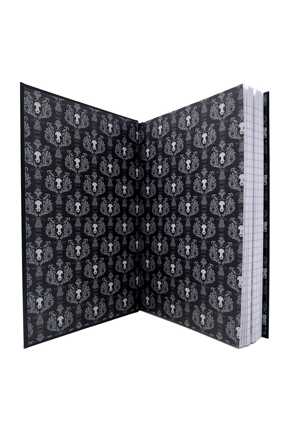 cat skull artwork in a gothic notebook
