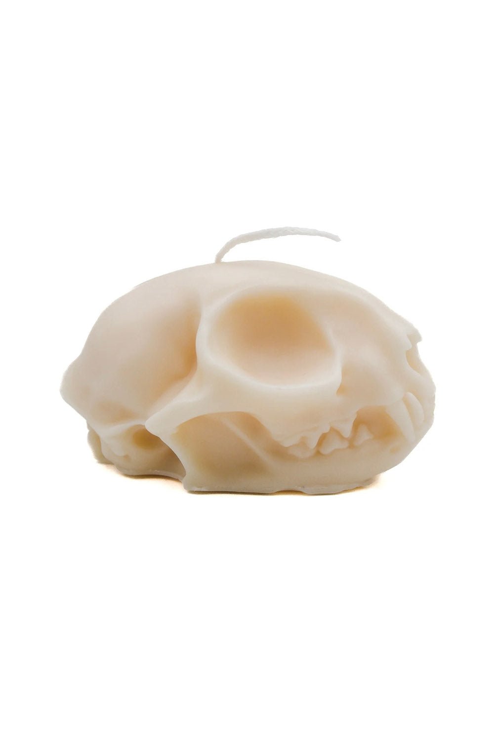 Cat Skull Pillar Candle