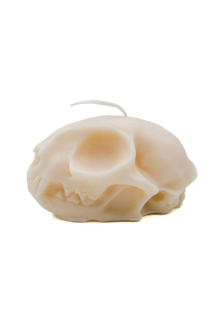 Cat Skull Pillar Candle - housewares - VampireFreaks - A Pleasant Thought