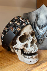 Catacombs Studded Belt [UNISEX] - belts - VampireFreaks - VampireFreaks