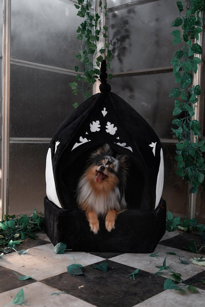 Cathedral Pet Bed - housewares - VampireFreaks - Lively Ghosts