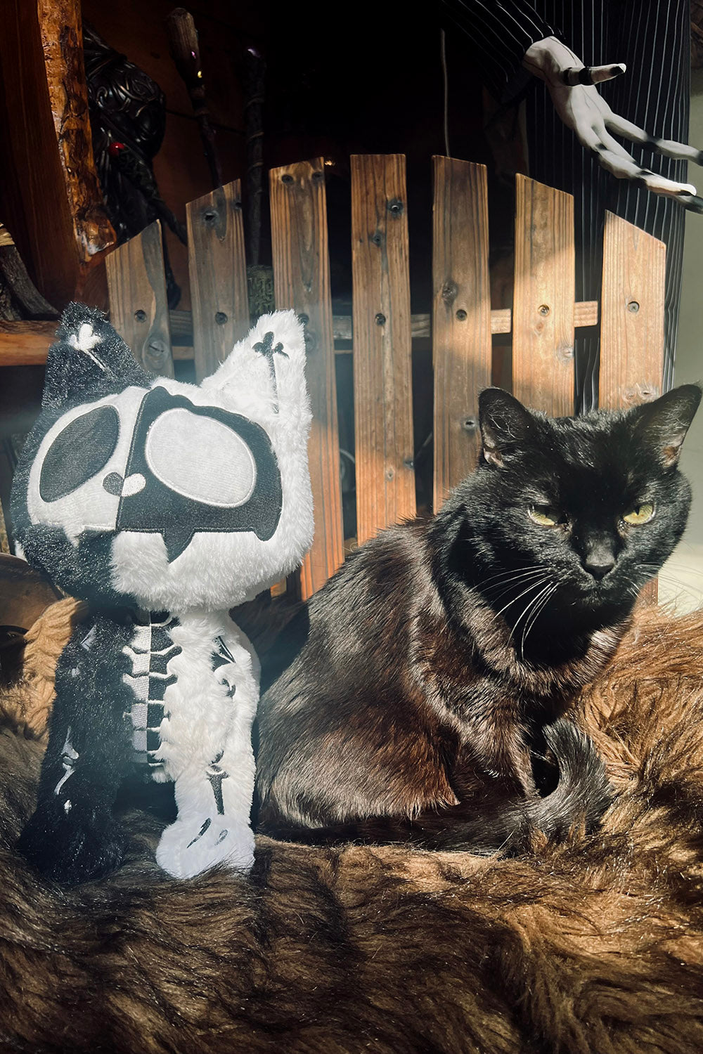 gothic black and white skeleton cat plush toy