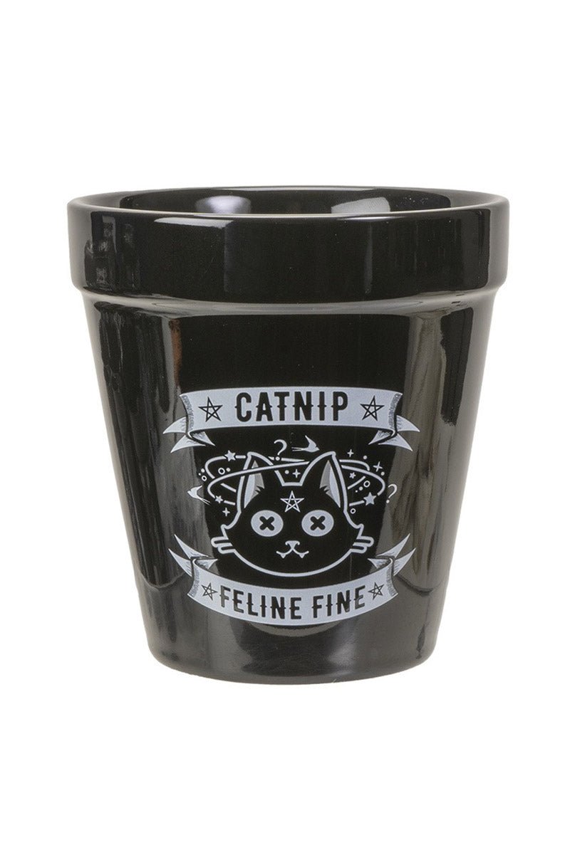 Catnip Garden Planter - housewares - VampireFreaks - Alchemy