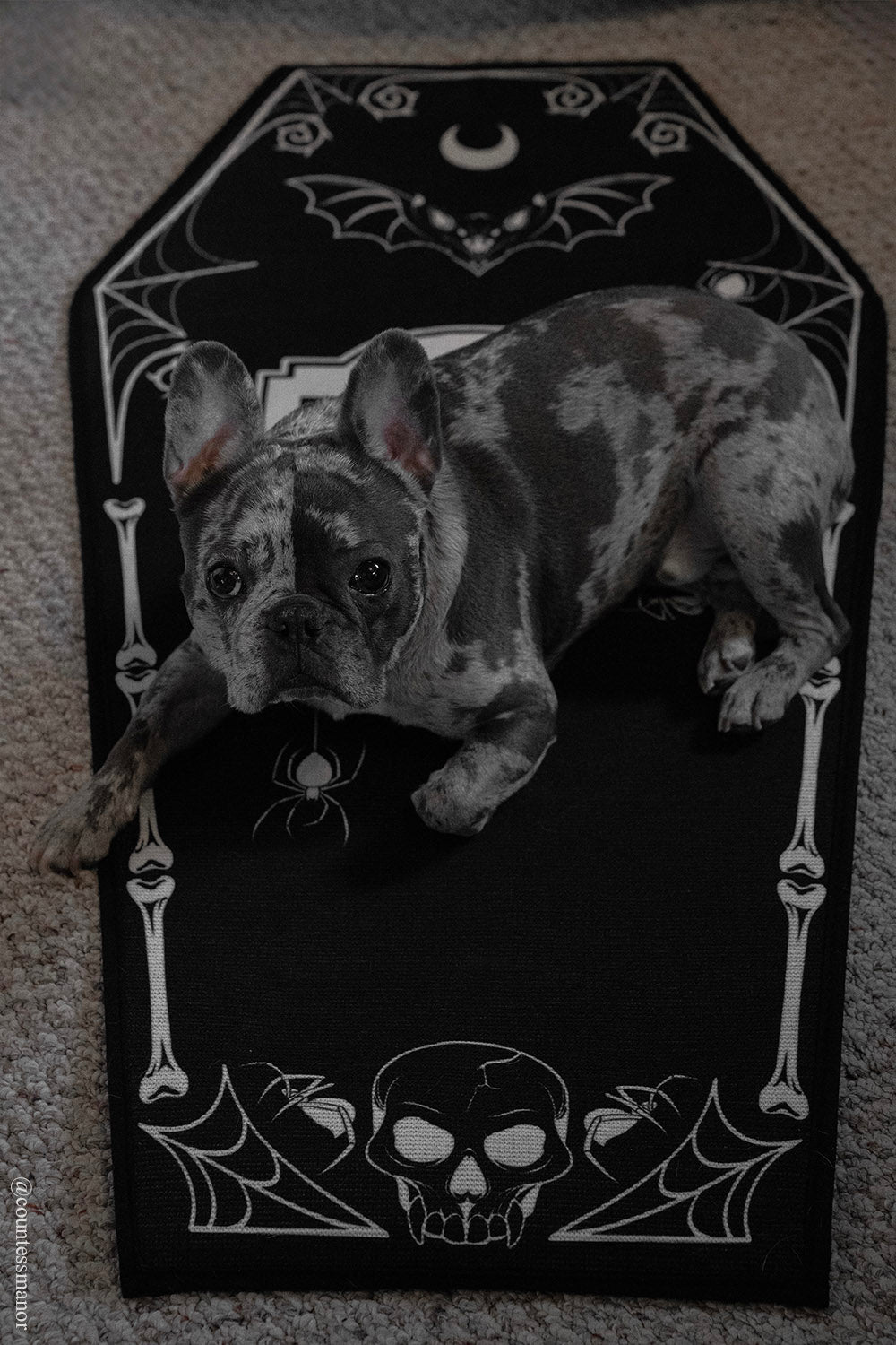 bat skull coffin shaped bathmat 