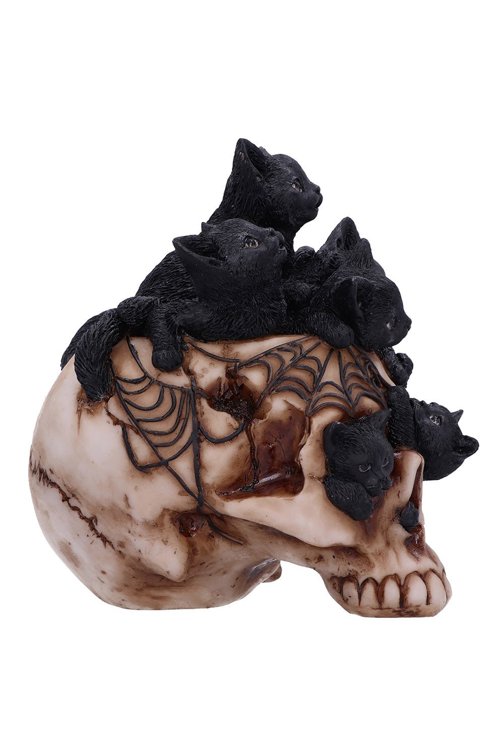 Cranial Litter Sculpture - toys - VampireFreaks - Nemesis Now