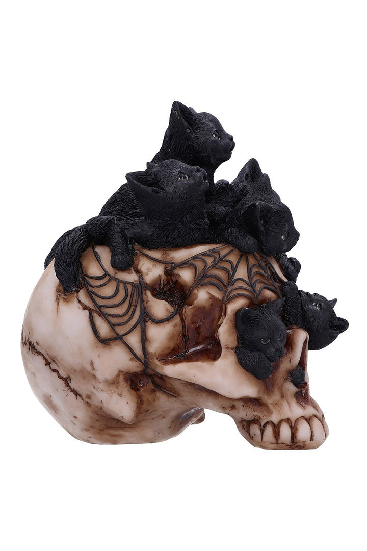 Cranial Litter Sculpture - toys - VampireFreaks - Nemesis Now