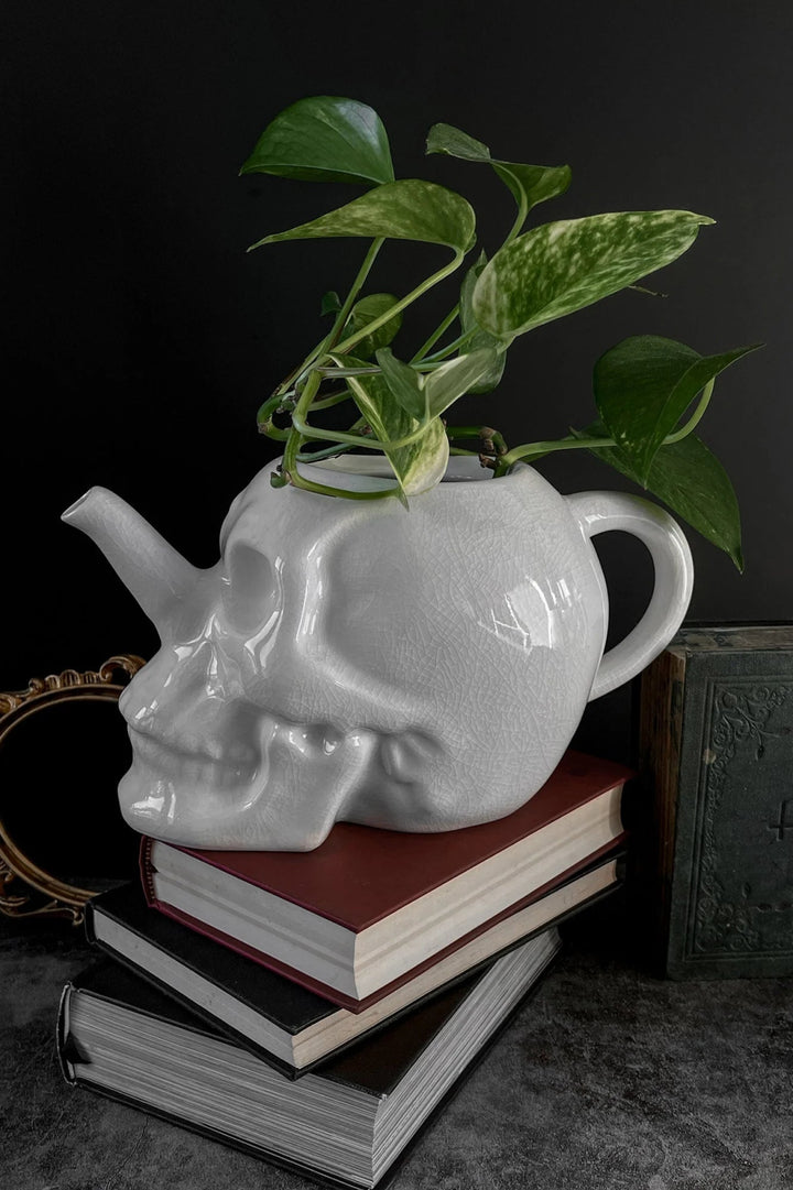 Cranium Plant Pot - housewares - VampireFreaks - Killstar