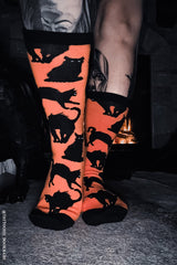 Creepy Crew Socks [Halloween Cats] - socks & stockings - VampireFreaks - VampireFreaks