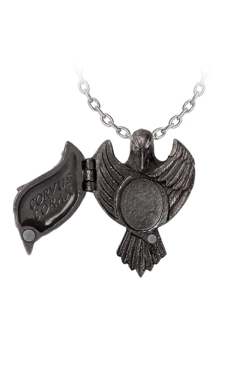 gothic crow necklace by alchemy england 