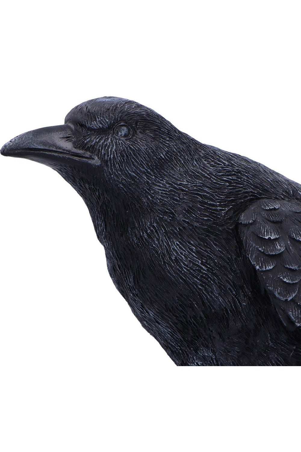 gothic raven edgar allan poe home decor