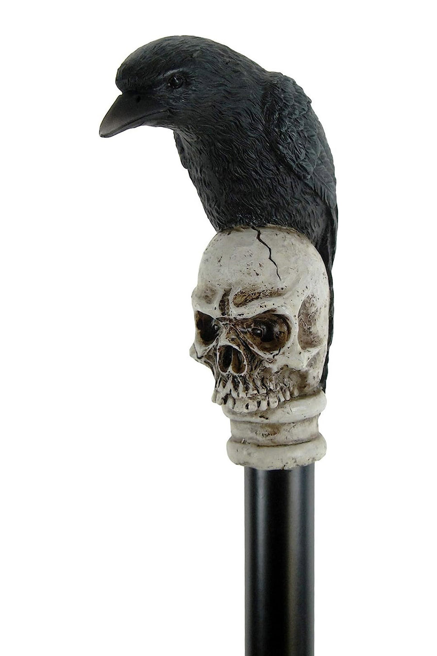 Raven Cane