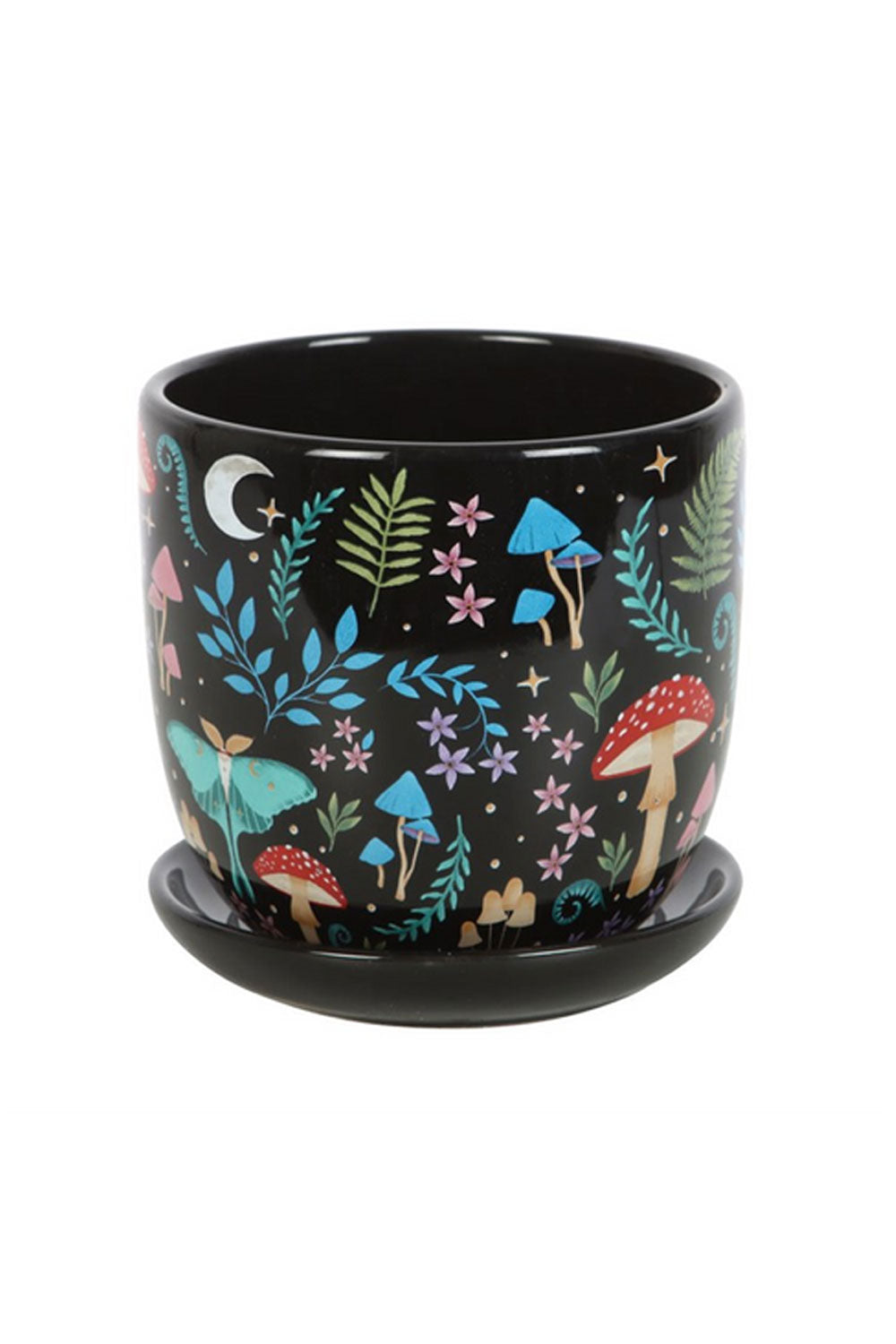 Cute black plant pot with mushrooms and ferns