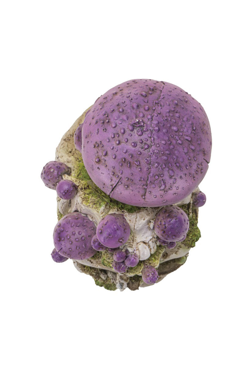mushrooms growing out of skull statue