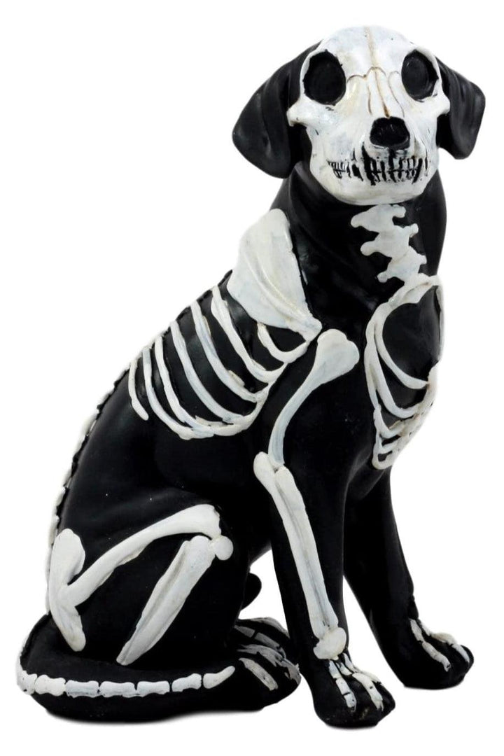 Day of the Dead Dog Sculpture - Toys - VampireFreaks - Pacific Giftware