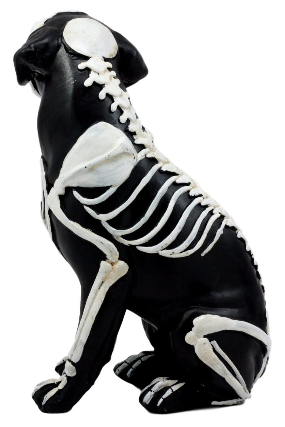 Day of the Dead Dog Sculpture - Toys - VampireFreaks - Pacific Giftware