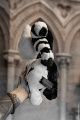 x-ray Skeleton cat plush toy