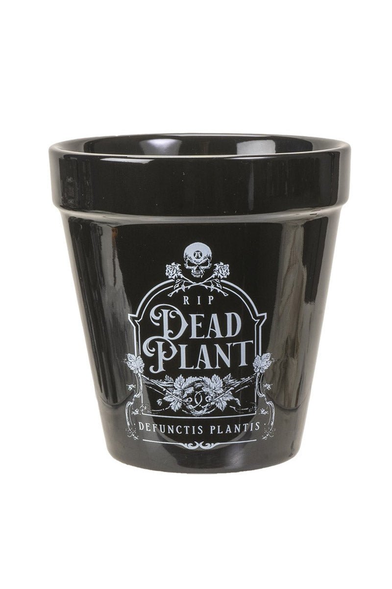 Dead Plant Garden Planter - housewares - VampireFreaks - Alchemy