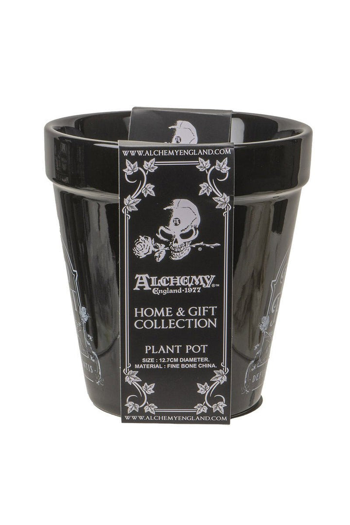 Dead Plant Garden Planter - housewares - VampireFreaks - Alchemy