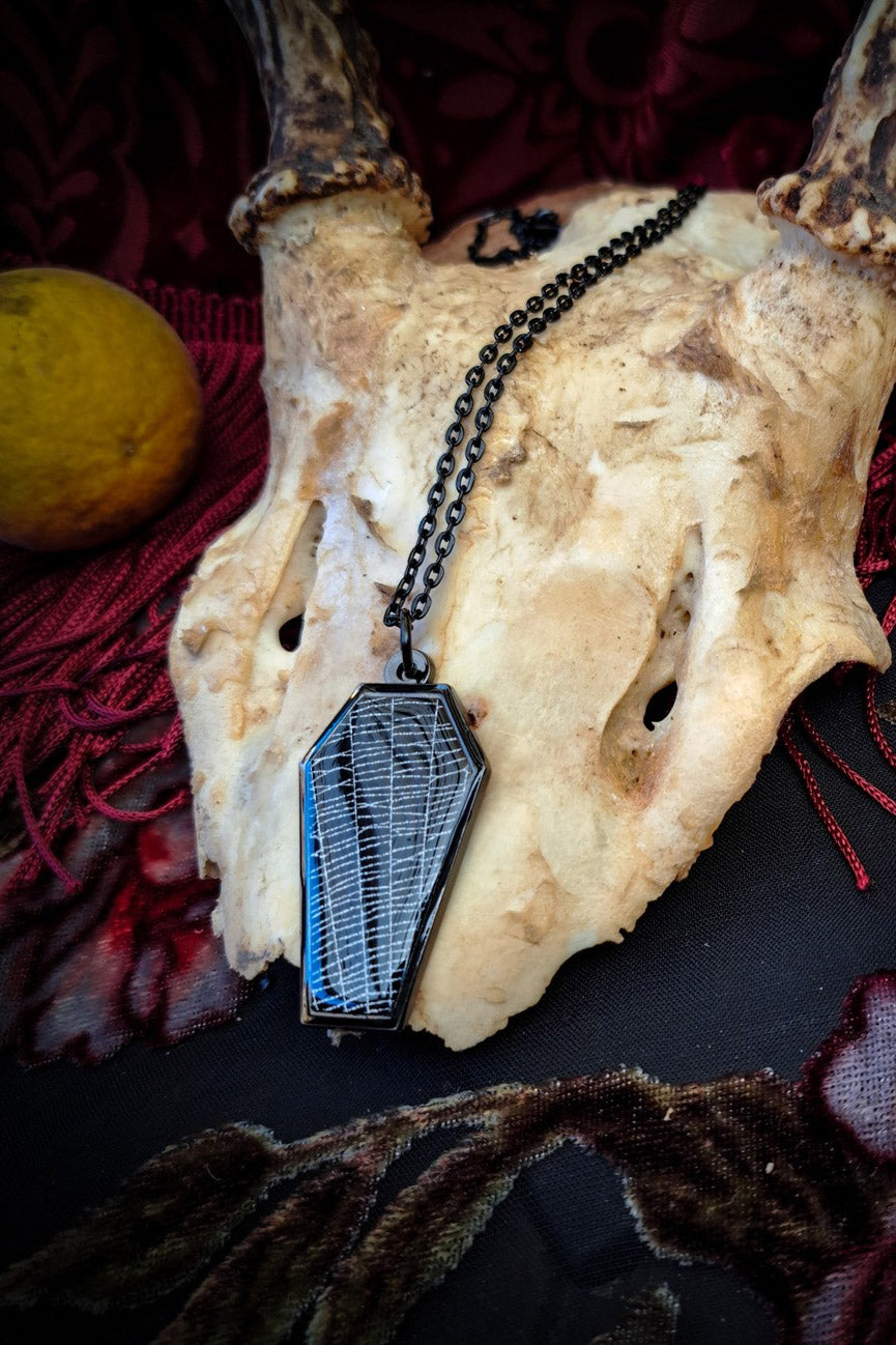 oddities real preserved spiderweb necklace