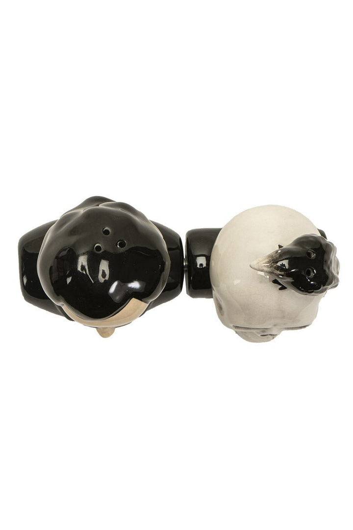 Edgar Allan Poe Salt & Pepper Shaker Set - housewares - VampireFreaks - Pacific Giftware