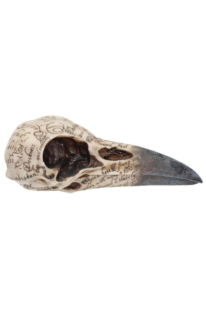 Edgar's Raven Skull Statue - housewares - VampireFreaks - Nemesis Now