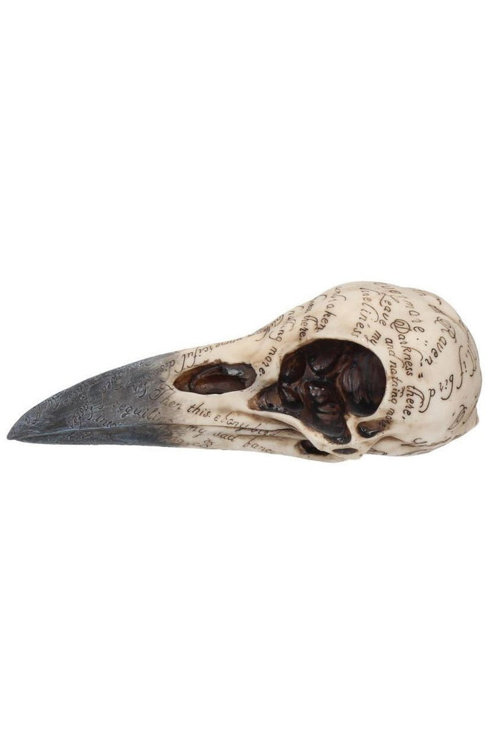 Edgar's Raven Skull Statue - housewares - VampireFreaks - Nemesis Now