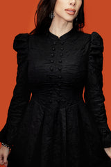 lively ghosts victorian goth dress with pockets
