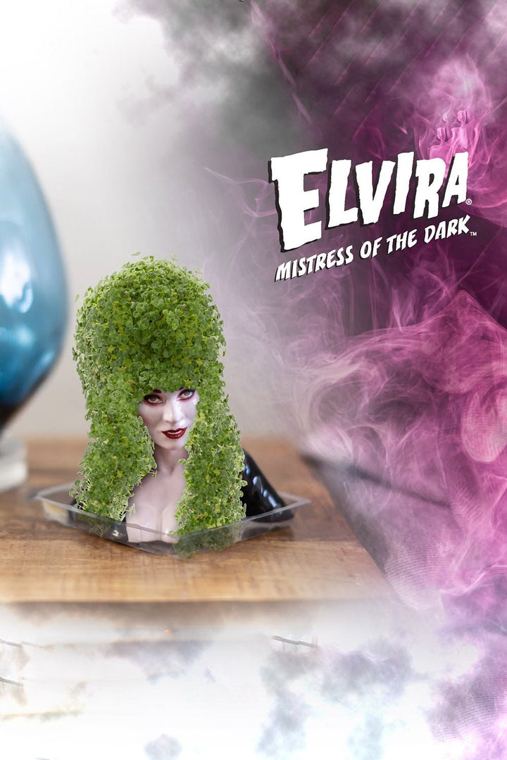 Elvira Chia Pet Planter - toys - VampireFreaks - NECA