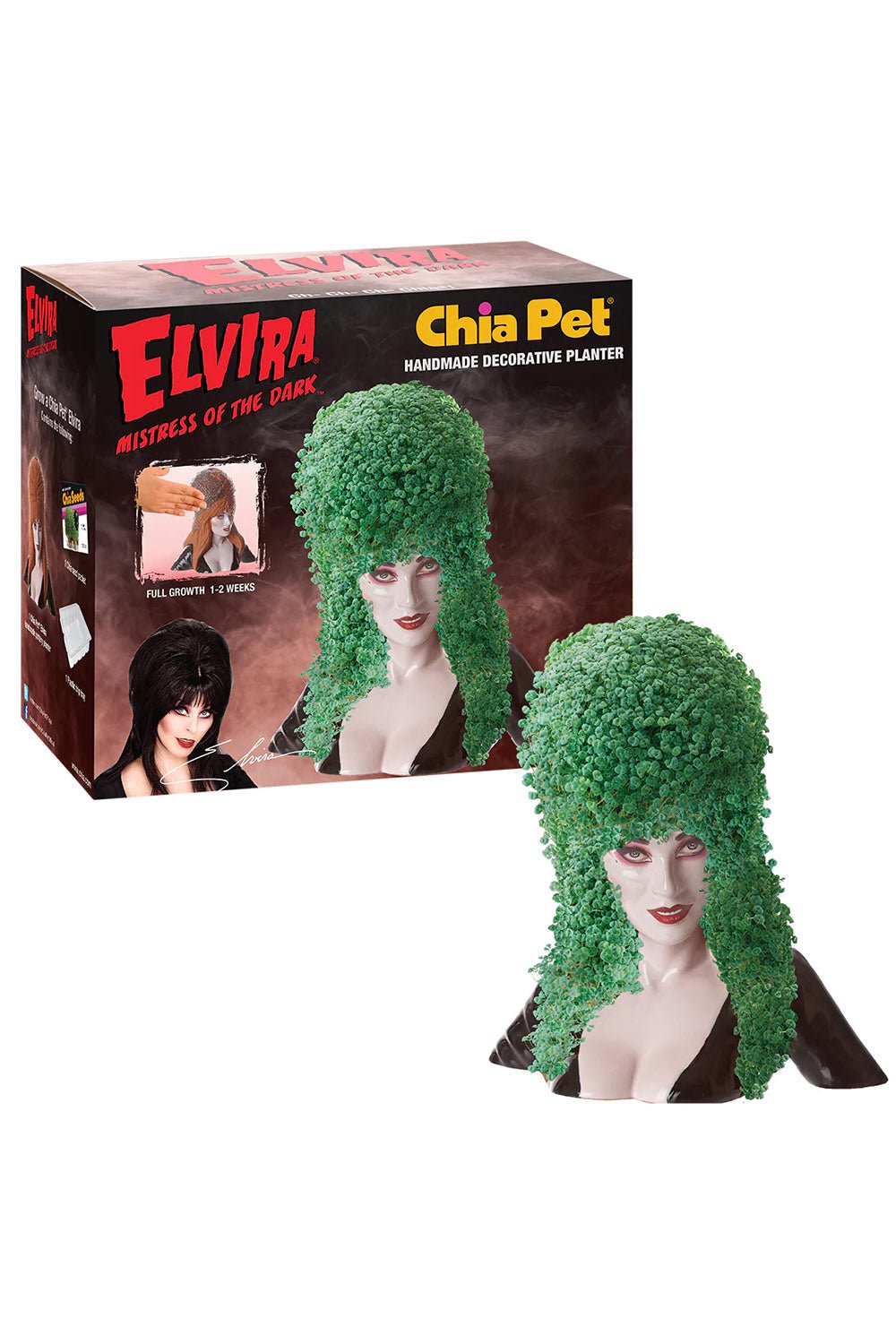 Elvira Chia Pet Planter