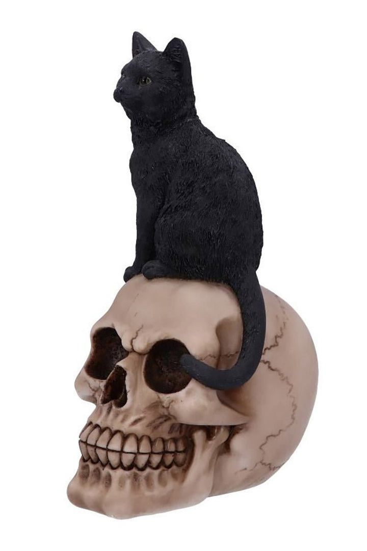 Familiar Fate Black Witches Cat and Skull Figurine - housewares - VampireFreaks - Nemesis Now