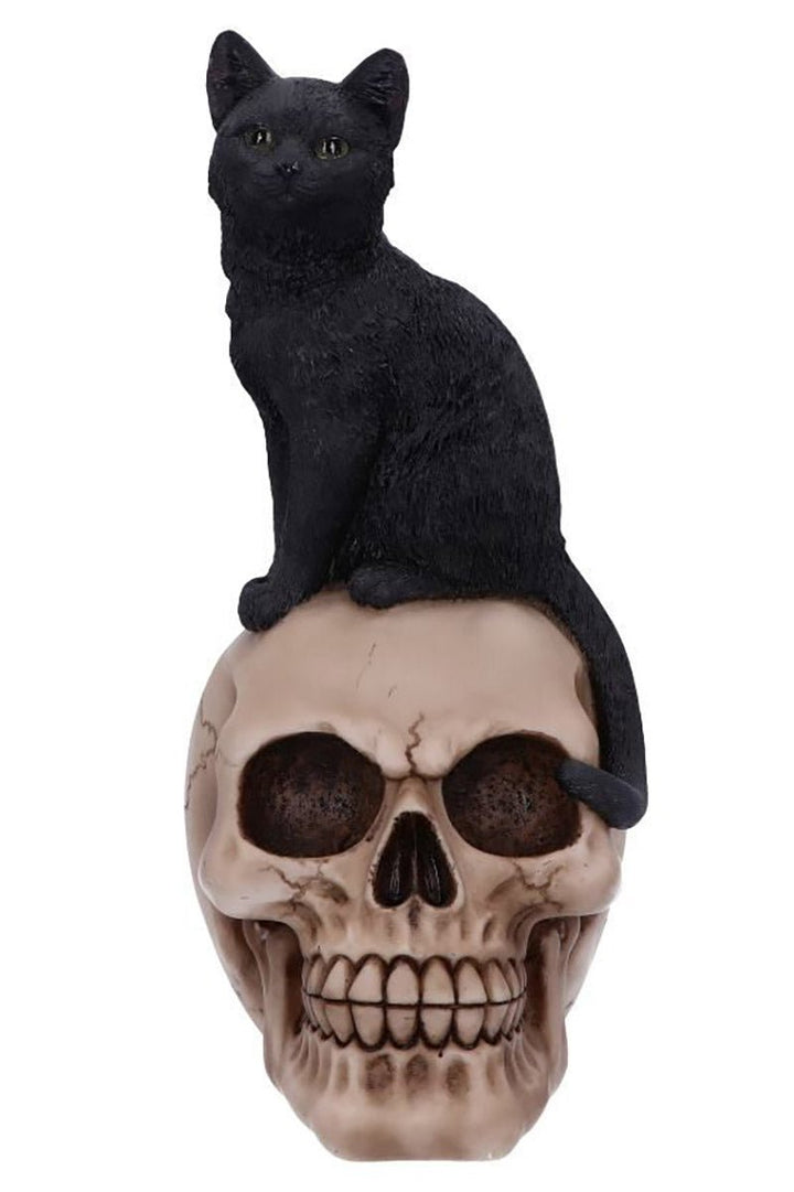 Familiar Fate Black Witches Cat and Skull Figurine - housewares - VampireFreaks - Nemesis Now