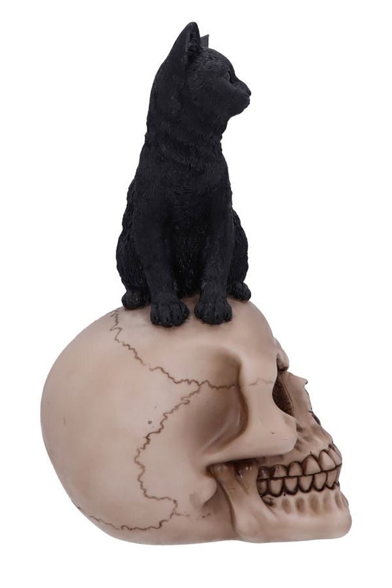 Familiar Fate Black Witches Cat and Skull Figurine - housewares - VampireFreaks - Nemesis Now