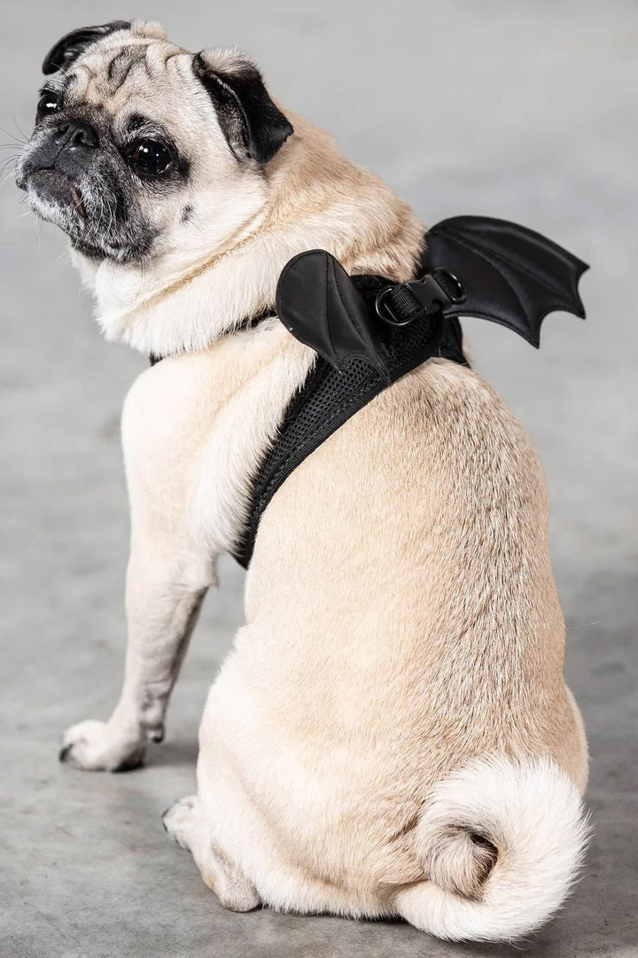 Flutter Pet Harness - housewares - VampireFreaks - Killstar