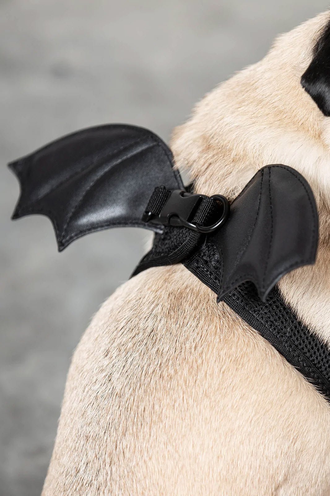 Flutter Pet Harness - housewares - VampireFreaks - Killstar