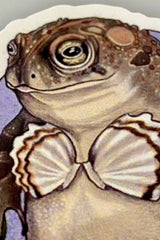 mermaidcore toad siren sticker by the Windy Willow 