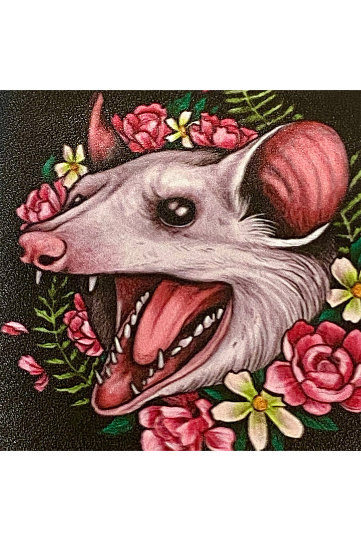 weird possum wallet