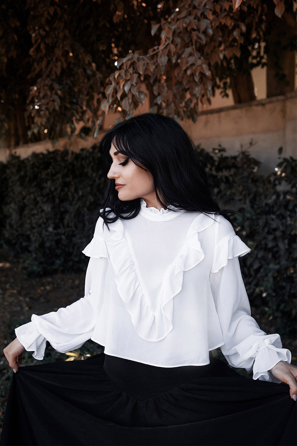 ruffled high neckline victorian top