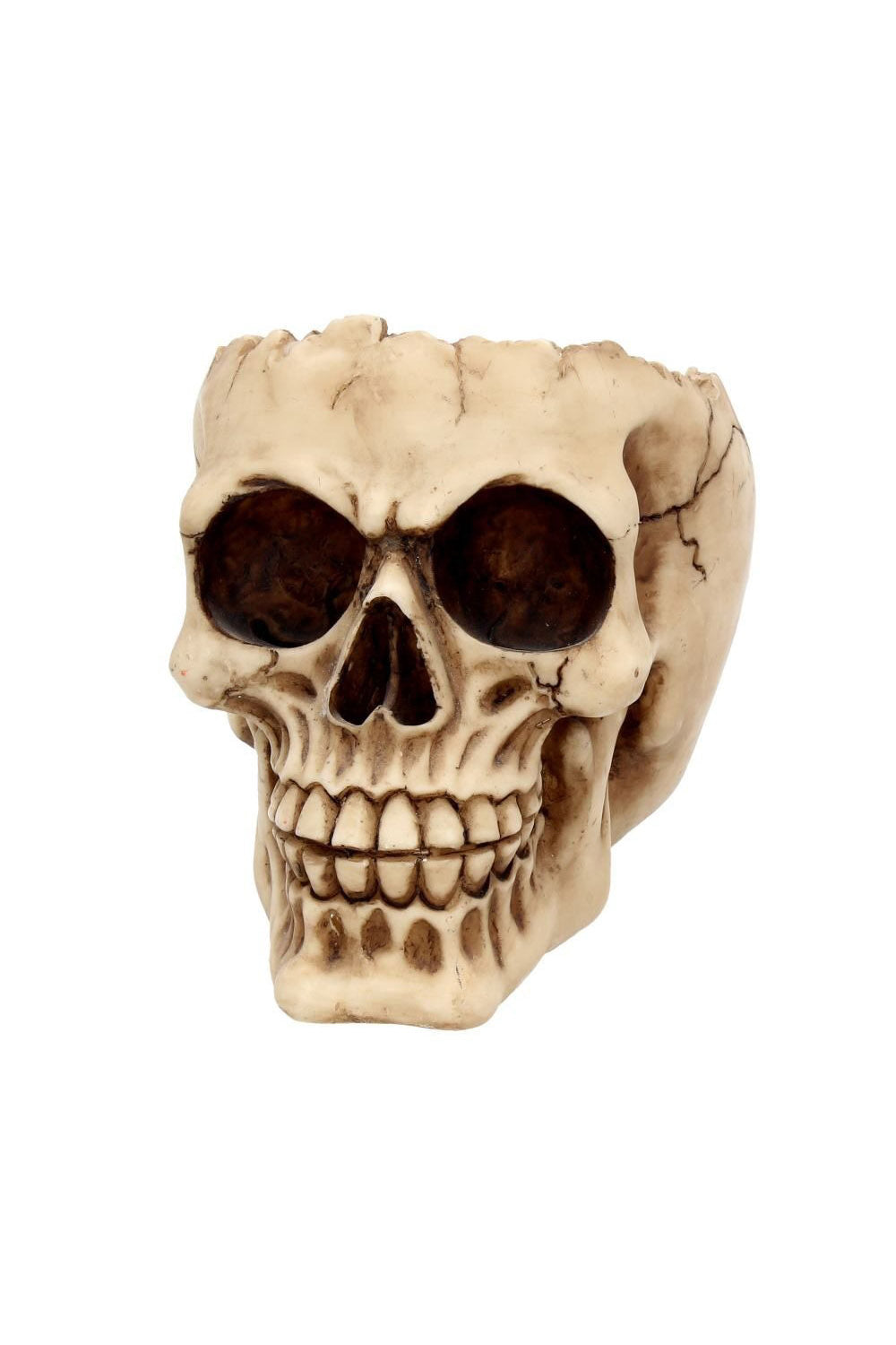 gothic skull bowl