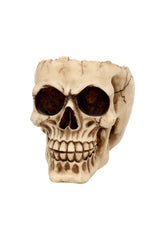 gothic skull bowl