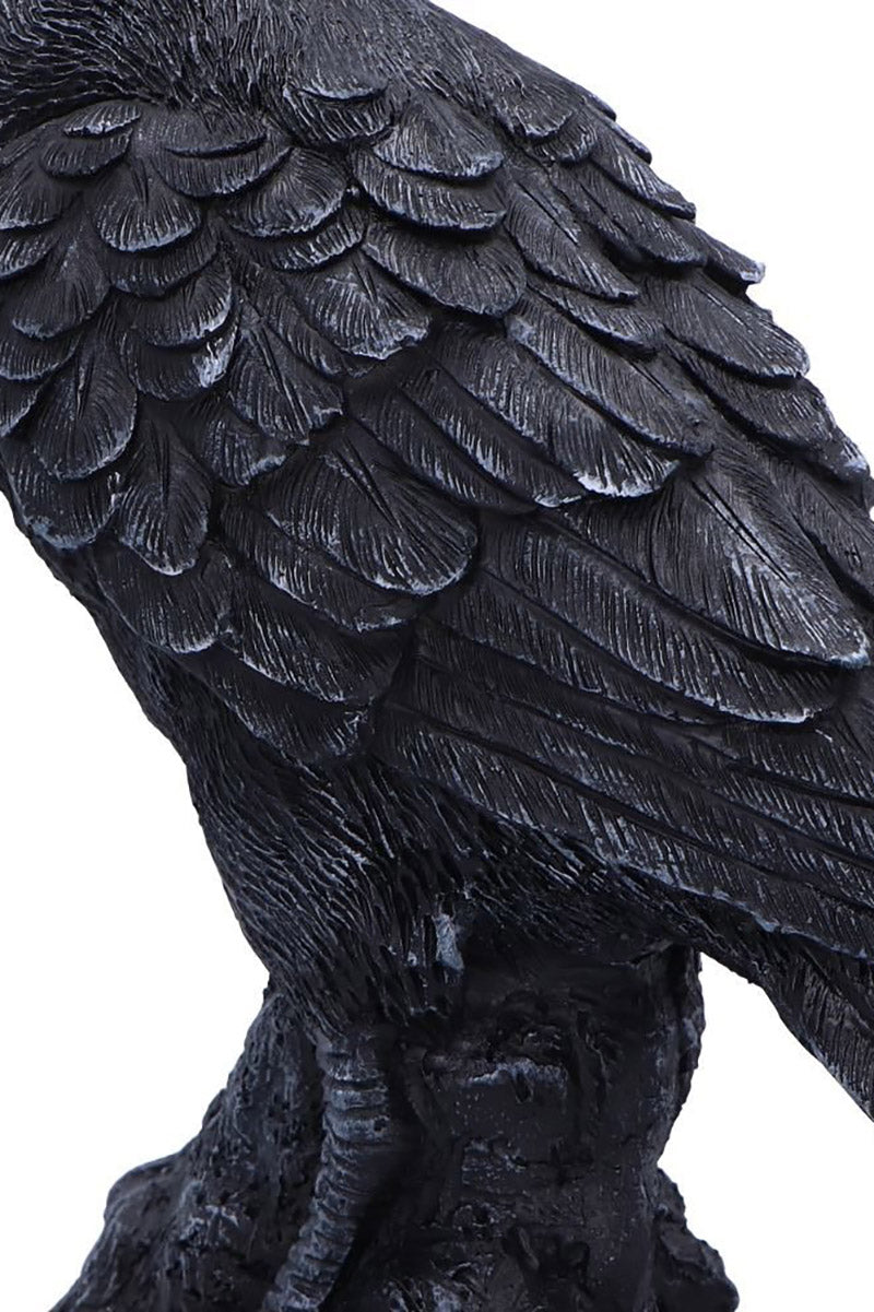 gothic crow edgar allan poe home decor