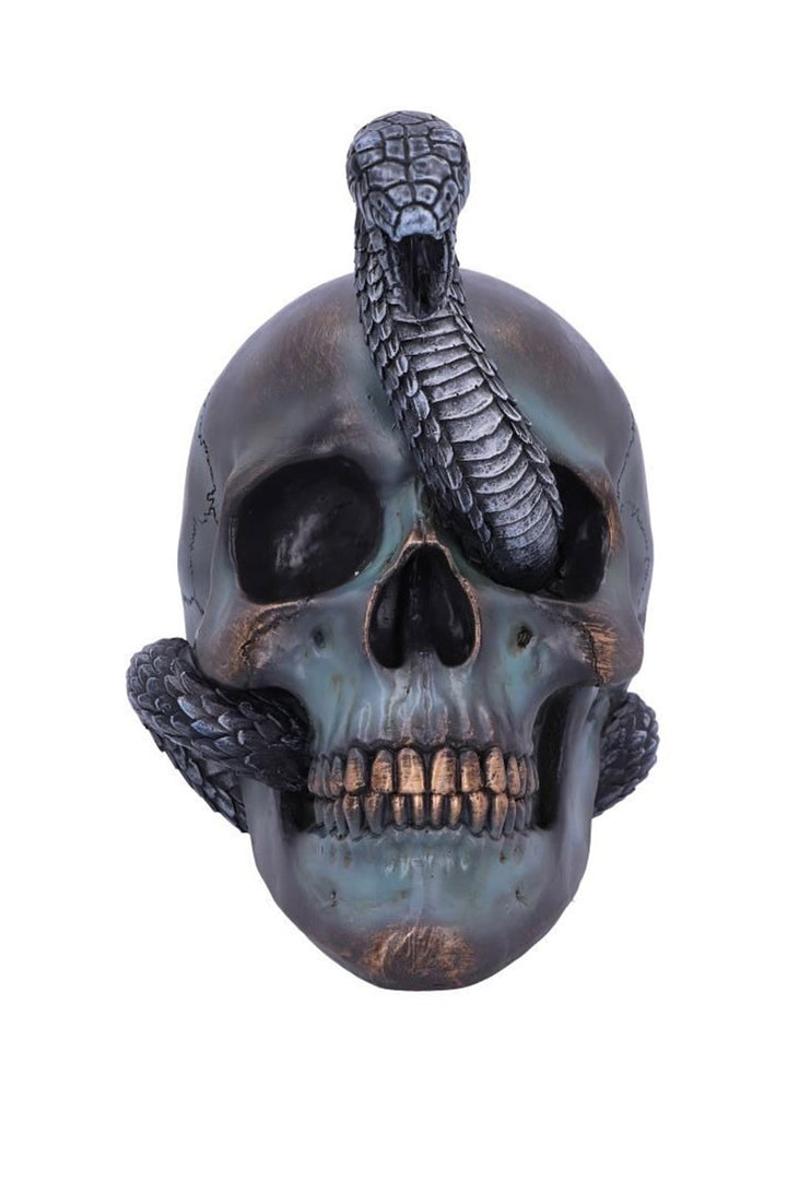 human skull figurine with snake 