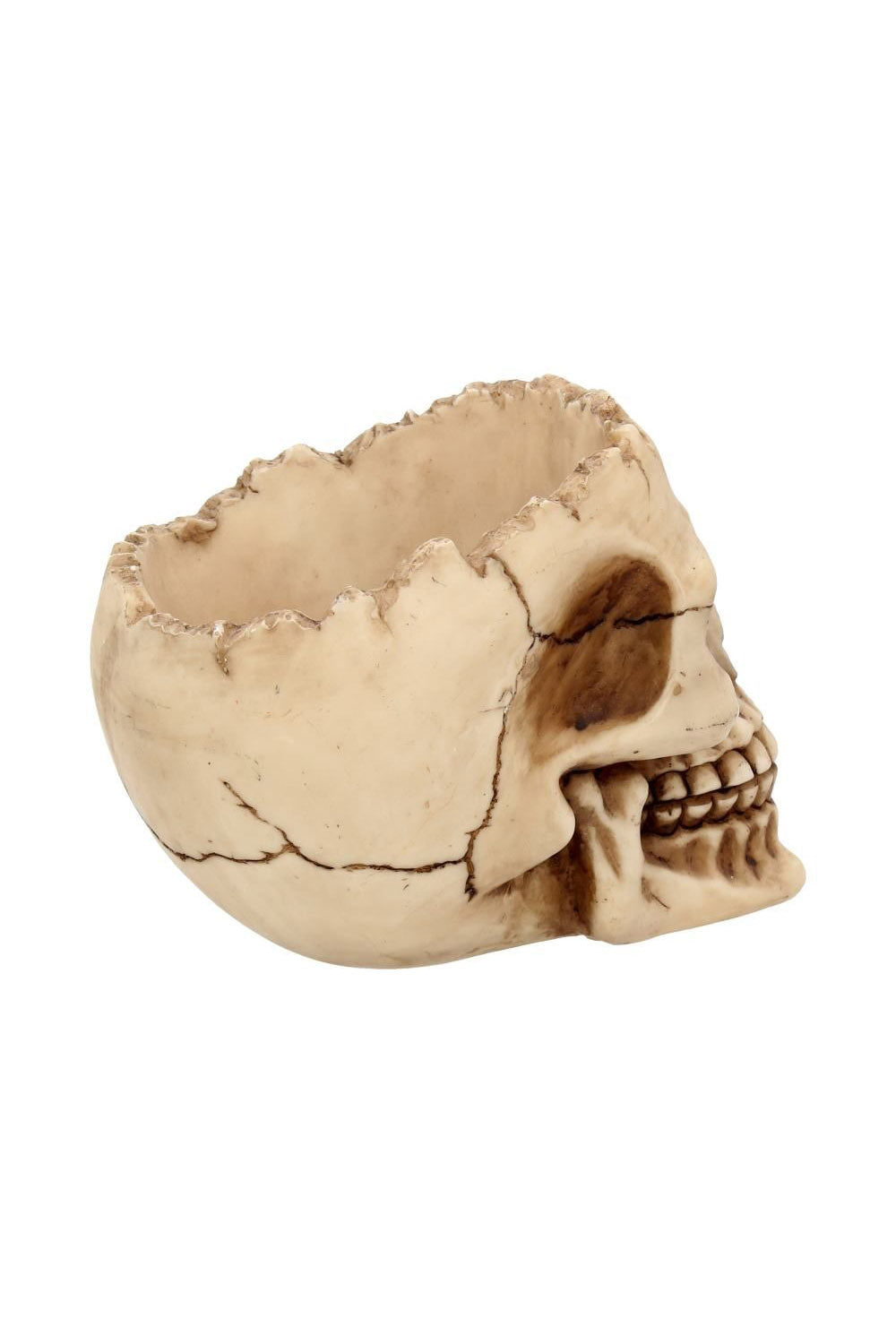 aged distressed old looking skull bowl 