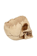 aged distressed old looking skull bowl 