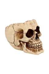 distressed skull trinket bowl